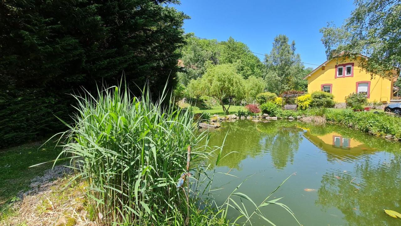 Domaine Des Graviers Hotel Plainfaing Exterior foto